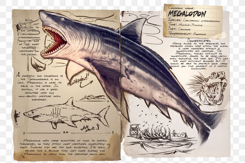 ARK: Survival Evolved Shark Megalodon Parasaurolophus Pteranodon, PNG, 4000x2660px, Ark Survival Evolved, Carcharodon, Carnivore, Dinosaur, Dire Wolf Download Free