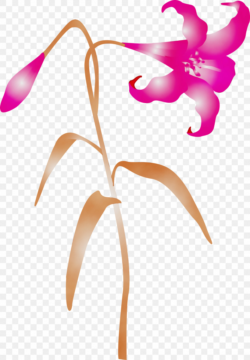 Flower Plant Pink Pedicel Petal, PNG, 2089x3000px, Easter Flower, Flower, Herbaceous Plant, Paint, Pedicel Download Free