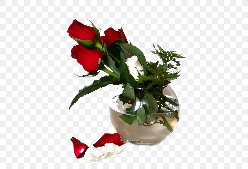 Garden Roses Akhir Pekan Week Animaatio, PNG, 458x559px, Garden Roses, Afternoon, Akhir Pekan, Animaatio, Artificial Flower Download Free
