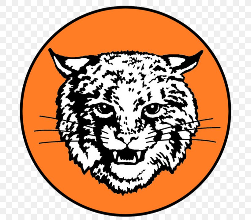 Tiger Northeastern Senior High School Whiskers Bobcat, PNG, 720x720px, Tiger, Area, Art, Big Cats, Black Download Free