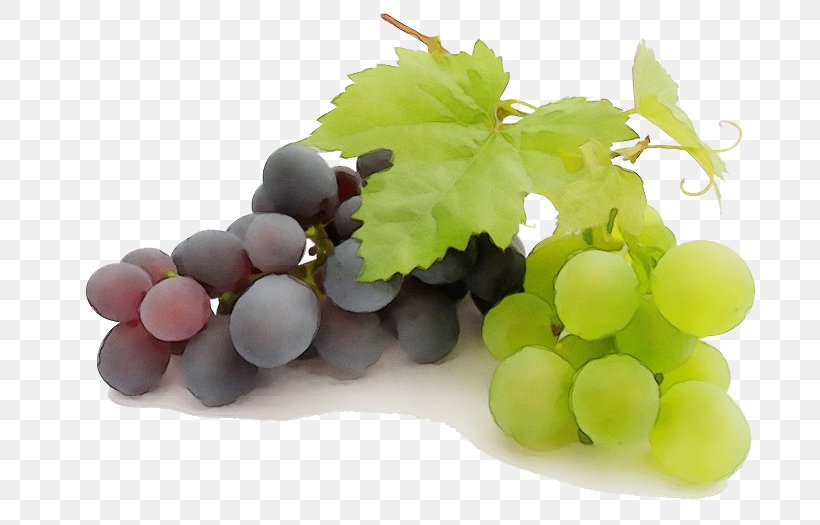 Grape Grape Leaves Seedless Fruit Grapevine Family Vitis, PNG, 748x525px, Watercolor, Food, Fruit, Grape, Grape Leaves Download Free