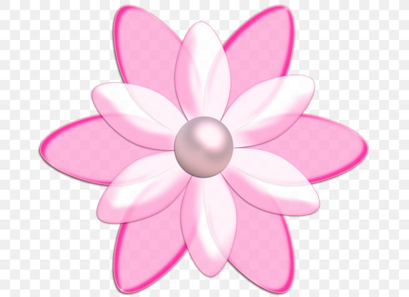Petal Flower Information Clip Art, PNG, 670x595px, Petal, Digital Image, Flower, Flowering Plant, Garden Roses Download Free