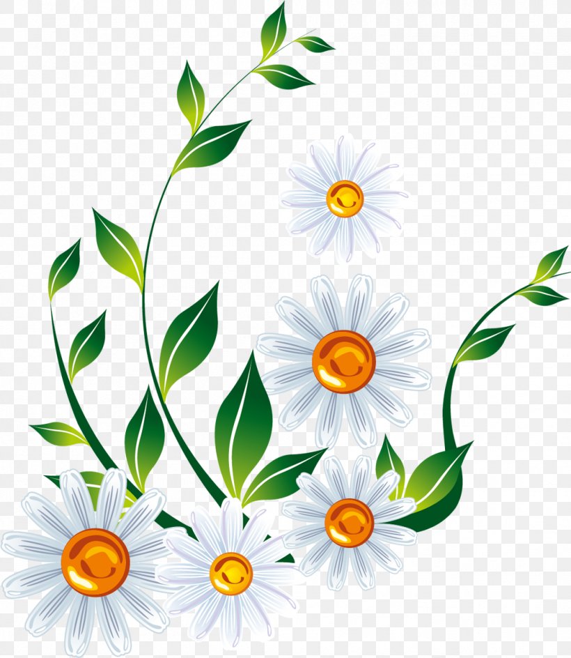 Albom Clip Art, PNG, 1042x1200px, Albom, Animation, Cut Flowers, Daisy, Daisy Family Download Free