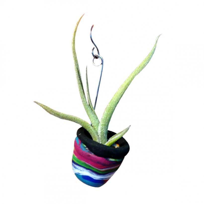 Flowerpot Houseplant Root, PNG, 1196x1196px, Flowerpot, Aloe, Aloe Vera, Flower, Flowering Plant Download Free