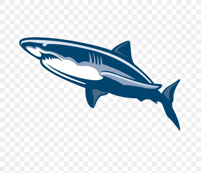 Shark Fish Drawing Illustration, PNG, 1249x1077px, Shark, Blue, Cartilaginous Fish, Cartoon, Dolphin Download Free