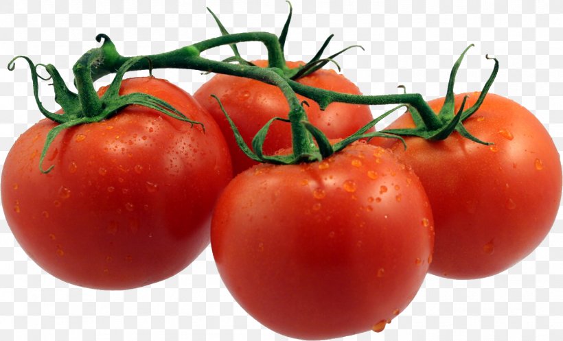 Tomato Soup Neapolitan Pizza, PNG, 1502x911px, Tomato, Bush Tomato, Determinate Cultivar, Diet Food, Food Download Free