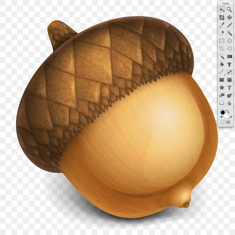 Acorn Graphics Software Image Editing Clip Art, PNG, 1024x1024px, Acorn, Commodity, Editing, Egg, Food Download Free
