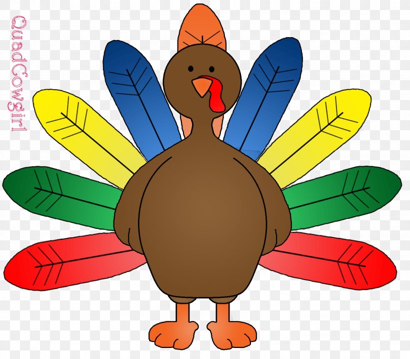Black Turkey Turkey Meat Coloring Book, PNG, 1524x1334px, Turkey, Artwork, Beak, Bird, Black Turkey Download Free