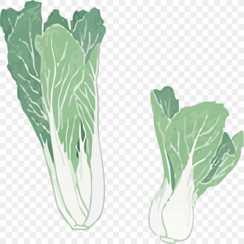 Chard Spring Greens Chinese Cabbage, PNG, 1004x1004px, Chard, Cabbage, Chinese Cabbage, Collard Greens, Food Download Free