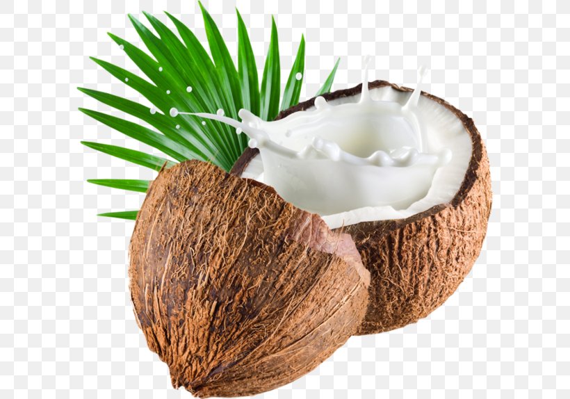 Coconut Milk Soy Milk Organic Food, PNG, 600x574px, Coconut Milk, Coconut, Coconut Cream, Coconut Milk Powder, Coconut Oil Download Free