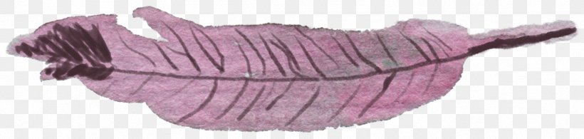 Feather Watercolor Painting, PNG, 1743x416px, Feather, Black And White, Color, Ink, Magenta Download Free