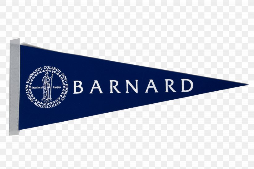 Barnard College Banner Flag Options Strategies, PNG, 5032x3355px, Barnard College, Advertising, Banner, Binary Option, Blue Download Free