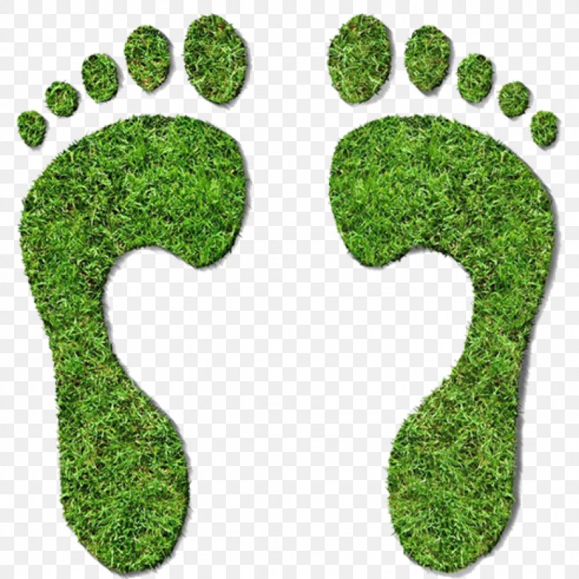 Carbon Footprint Ecological Footprint Carbon Neutrality Carbon Offset Greenhouse Gas, PNG, 1024x1024px, Carbon Footprint, Carbon Dioxide, Carbon Dioxide Equivalent, Carbon Neutrality, Carbon Offset Download Free