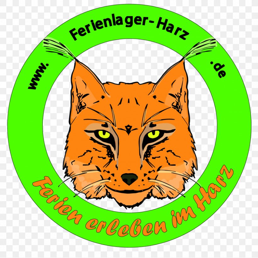 Ferienlager Harz Infinity Surfcamp Sri Lanka Berlin Liquide Facebook Whiskers, PNG, 898x900px, Facebook, Area, Berlin, Carnivoran, Cat Download Free