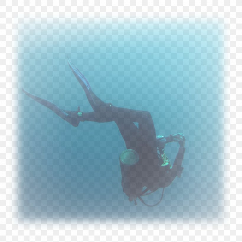 Free-diving Underwater Divemaster, PNG, 1105x1108px, Freediving, Divemaster, Diving, Recreation, Scuba Diving Download Free