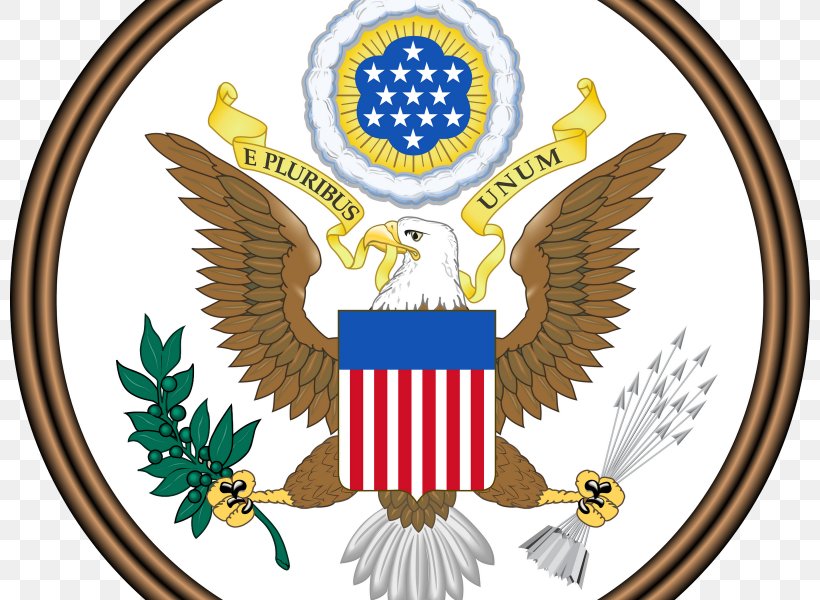 Great Seal Of The United States Federal Government Of The United States E Pluribus Unum President Of The United States, PNG, 800x600px, United States, Barack Obama, Beak, Brand, Coat Of Arms Download Free