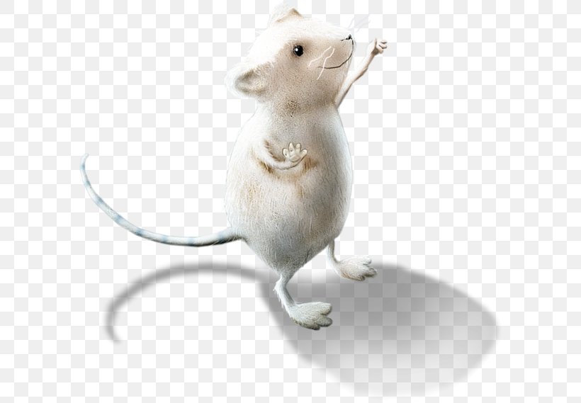 Computer Mouse Brown Rat Clip Art, PNG, 600x569px, Mouse, Black Rat, Brown Rat, Computer Mouse, Fancy Rat Download Free