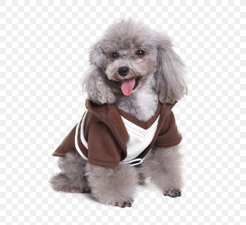 Costume Hoodie Robe Dog Clothing, PNG, 750x750px, Costume, Clothing, Coat, Companion Dog, Cosplay Download Free