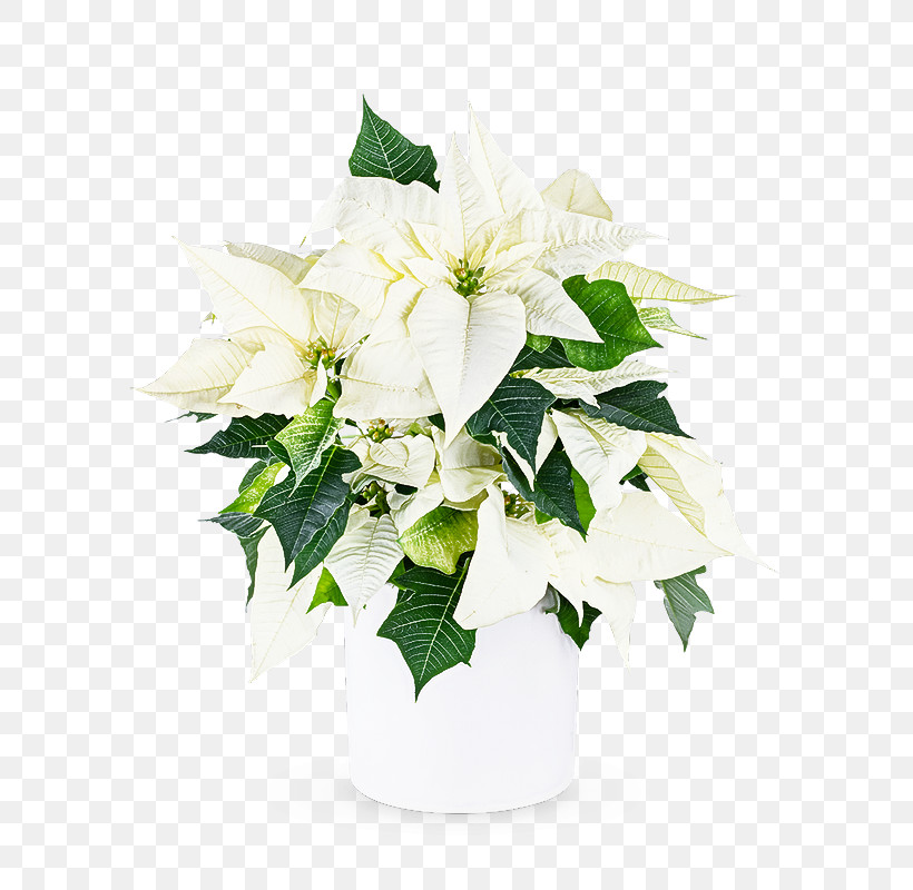Floral Design, PNG, 800x800px, Floral Design, Artificial Flower, Biology, Cut Flowers, Flower Download Free