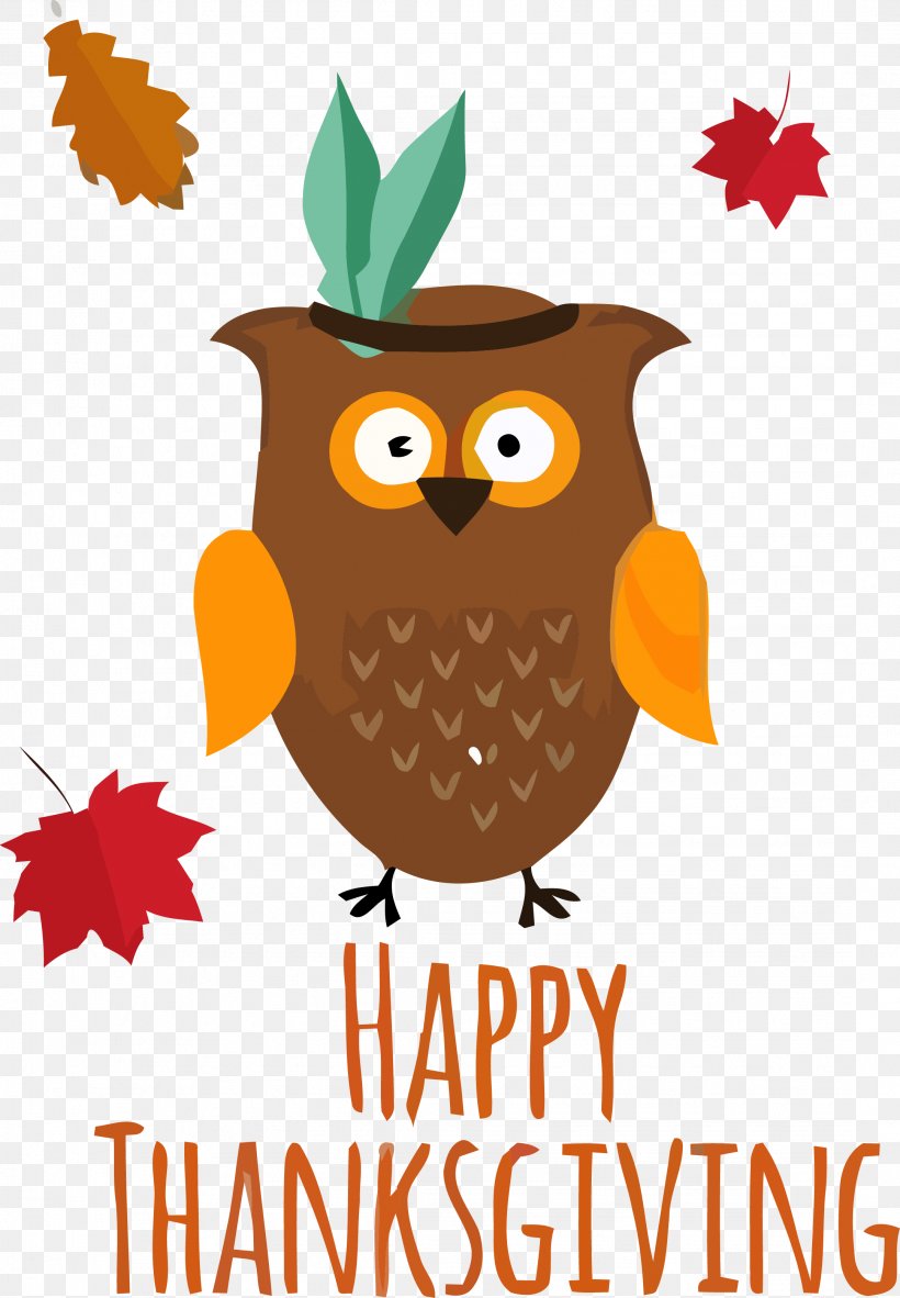 Owl Eastern Screech Owl Bird Bird Of Prey Tree, PNG, 2162x3119px, Thanksgiving Owl, Autumn, Bird, Bird Of Prey, Eastern Screech Owl Download Free