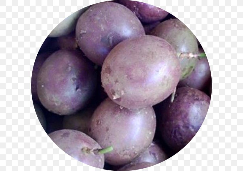 Potato Turnip Rutabaga Tuber Food, PNG, 610x576px, Potato, Food, Fruit, Local Food, Prune Download Free