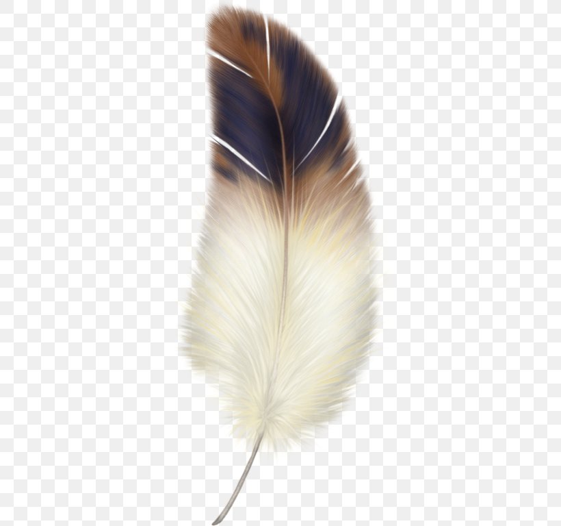 Bird Feather Clip Art, PNG, 350x768px, Bird, Autocad Dxf, Color, Eagle Feather Law, Feather Download Free