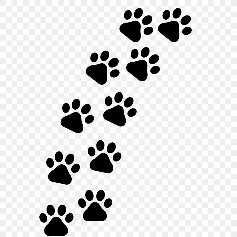 Cat Dog Paw Kitten Tiger, PNG, 1600x1600px, Cat, Animal, Black, Black And White, Collar Download Free