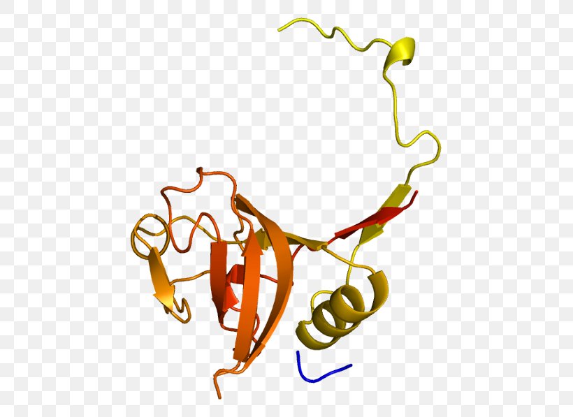 Cathepsin L1 Cathepsin B Protein, PNG, 495x597px, Cathepsin, Area, Artwork, Body Jewelry, Branch Download Free