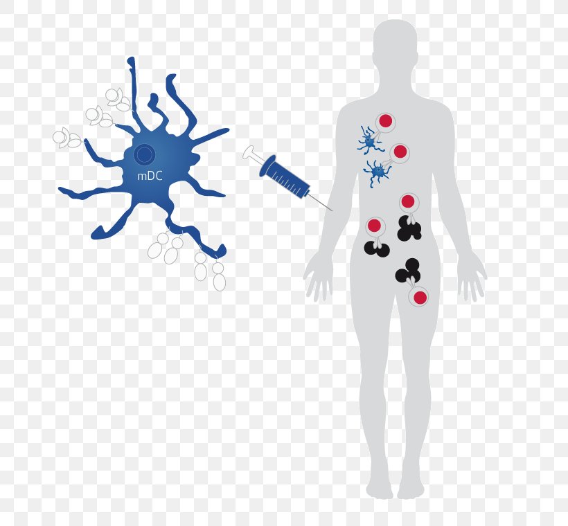 Dendritic Cell-based Cancer Vaccine Dendritic Cell-based Cancer Vaccine Acute Myeloid Leukemia, PNG, 760x760px, Watercolor, Cartoon, Flower, Frame, Heart Download Free