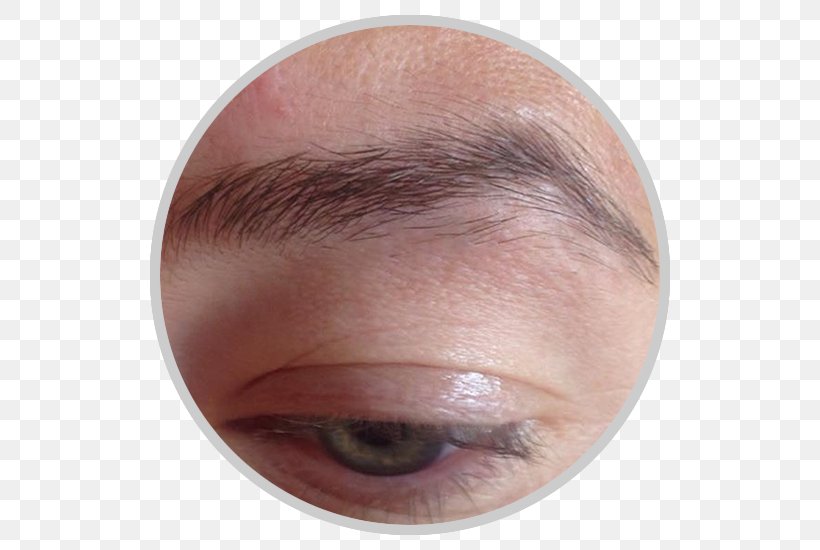 Eyelash Extensions Eyebrow Eye Shadow Forehead Cheek, PNG, 550x550px, Eyelash Extensions, Artificial Hair Integrations, Cheek, Chin, Close Up Download Free