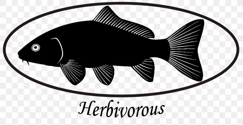 Fish Common Carp Black And White Silhouette, PNG, 1172x605px, Fish, Black, Black And White, Brand, Carp Download Free