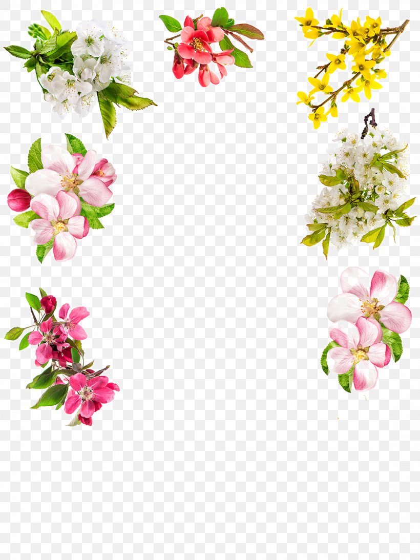Floral Design Blossom Stock Photography Flower, PNG, 1100x1467px, Floral Design, Apple, Apples, Blossom, Branch Download Free