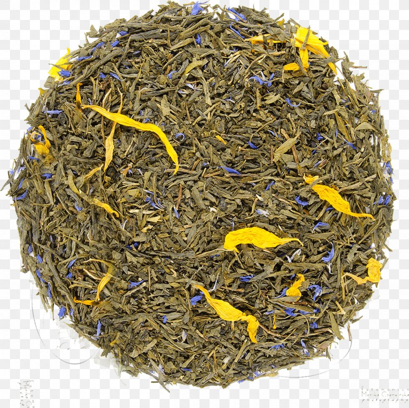 Nilgiri Tea Dianhong Romeritos Golden Monkey Tea, PNG, 1200x1198px, 2018 Audi Q7, Nilgiri Tea, Assam Tea, Audi Q7, Ceylon Tea Download Free