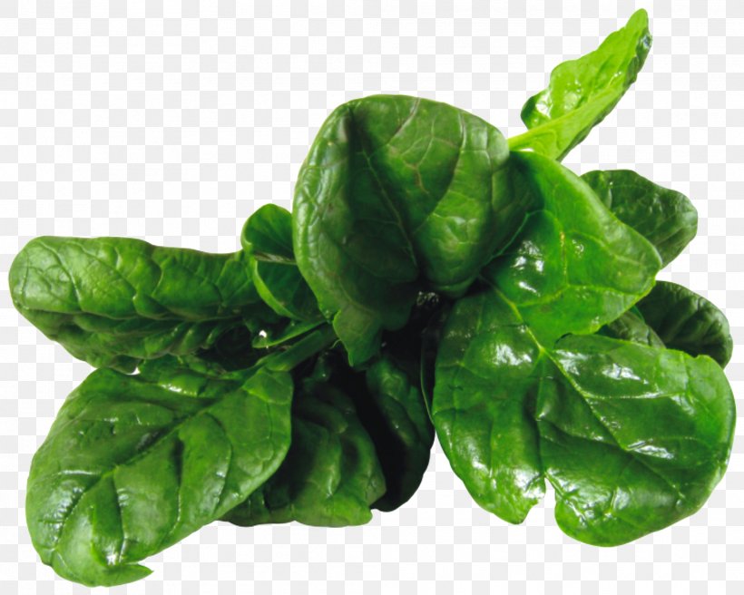 Spinach Salad Vegetarian Cuisine Leaf Vegetable, PNG, 2014x1612px, Spinach Salad, Basil, Chard, Choy Sum, Collard Greens Download Free