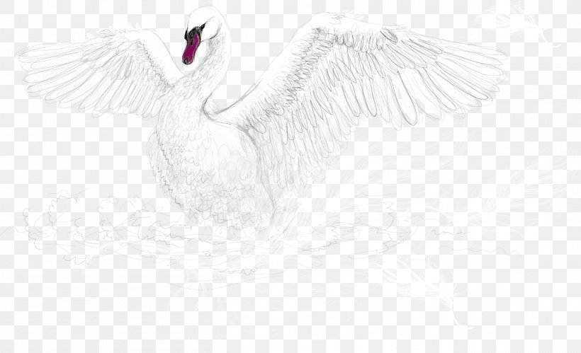 Water Bird Goose White Cygnini, PNG, 1307x796px, Water Bird, Anatidae, Beak, Bird, Black Download Free