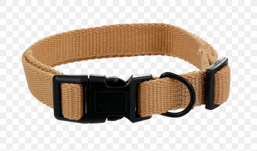Dog Collar Pet Belt, PNG, 1100x650px, Dog, Belt, Belt Buckle, Buckle, Clothing Accessories Download Free