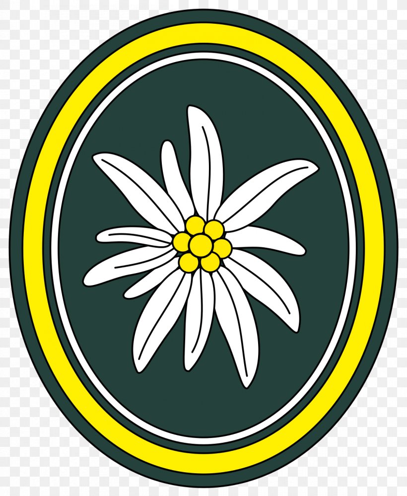 Gebirgsjäger Germany Army Leontopodium Nivale Edelweiss, PNG, 1200x1462px, Germany, Area, Army, Artwork, Bundeswehr Download Free