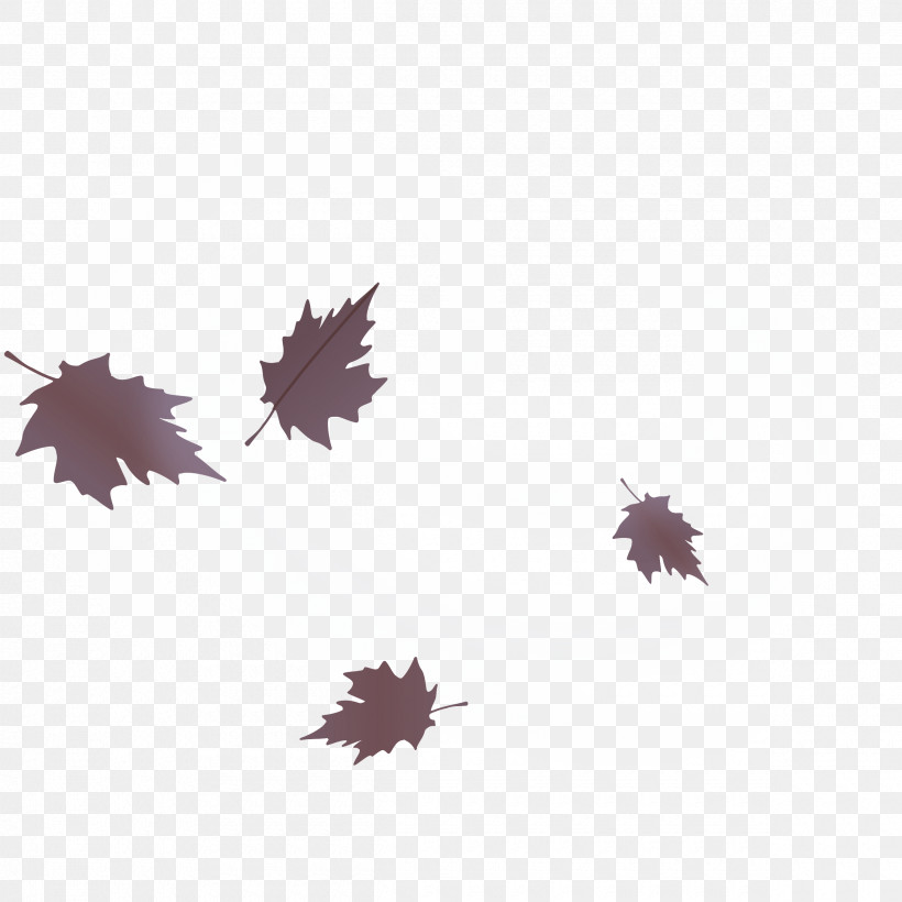 Leaf Maple Leaf / M Tree Computer Plant, PNG, 2400x2400px, Leaf, Biology, Computer, Maple Leaf M, Plant Download Free