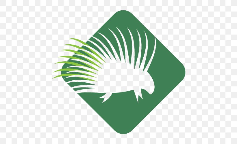 Park City Trail Series Leaf Logo Course, PNG, 600x500px, City, Course, Grass, Green, Leaf Download Free