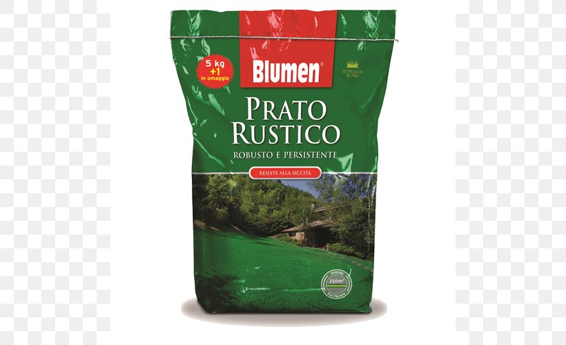 Prato Grass Lolium Perenne Lawn Seed, PNG, 500x500px, Prato, Fescues, Festuca Rubra, Garden, Grass Download Free