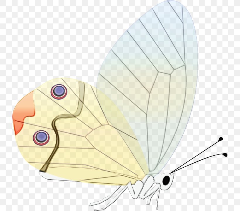 Butterfly Cartoon, PNG, 735x720px, Moth, Brushfooted Butterfly, Butterfly, Cartoon, Emperor Moths Download Free