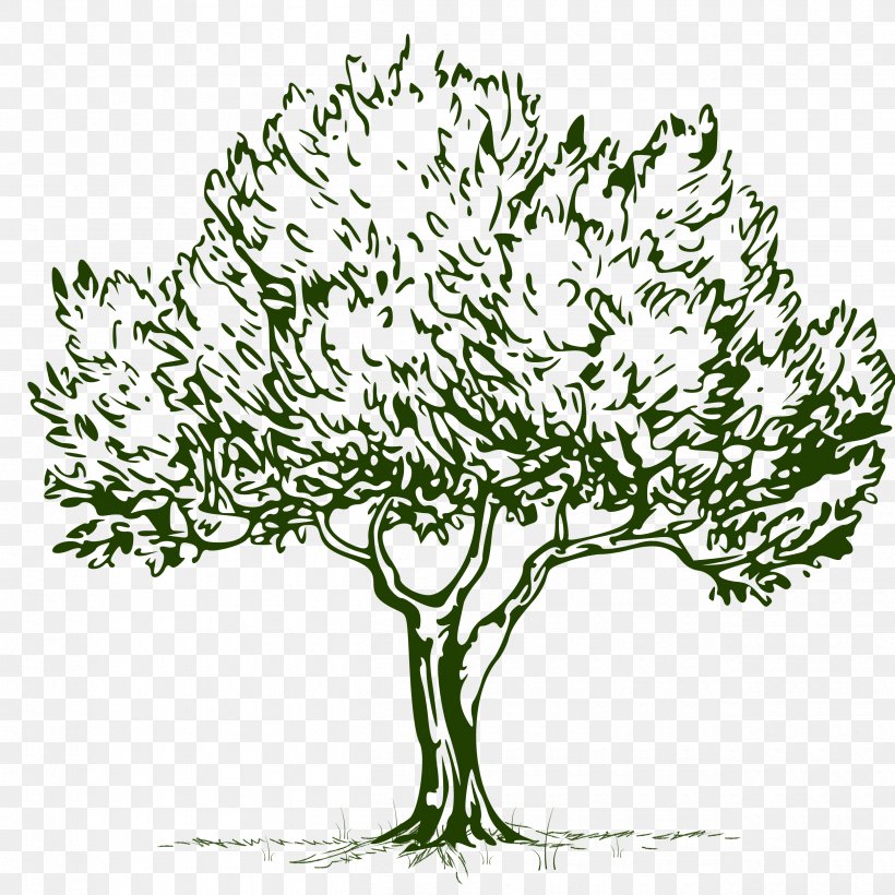 Line Art Tree Plant Woody Plant Grass, PNG, 2500x2500px, Line Art, Branch, Flower, Grass, Leaf Download Free