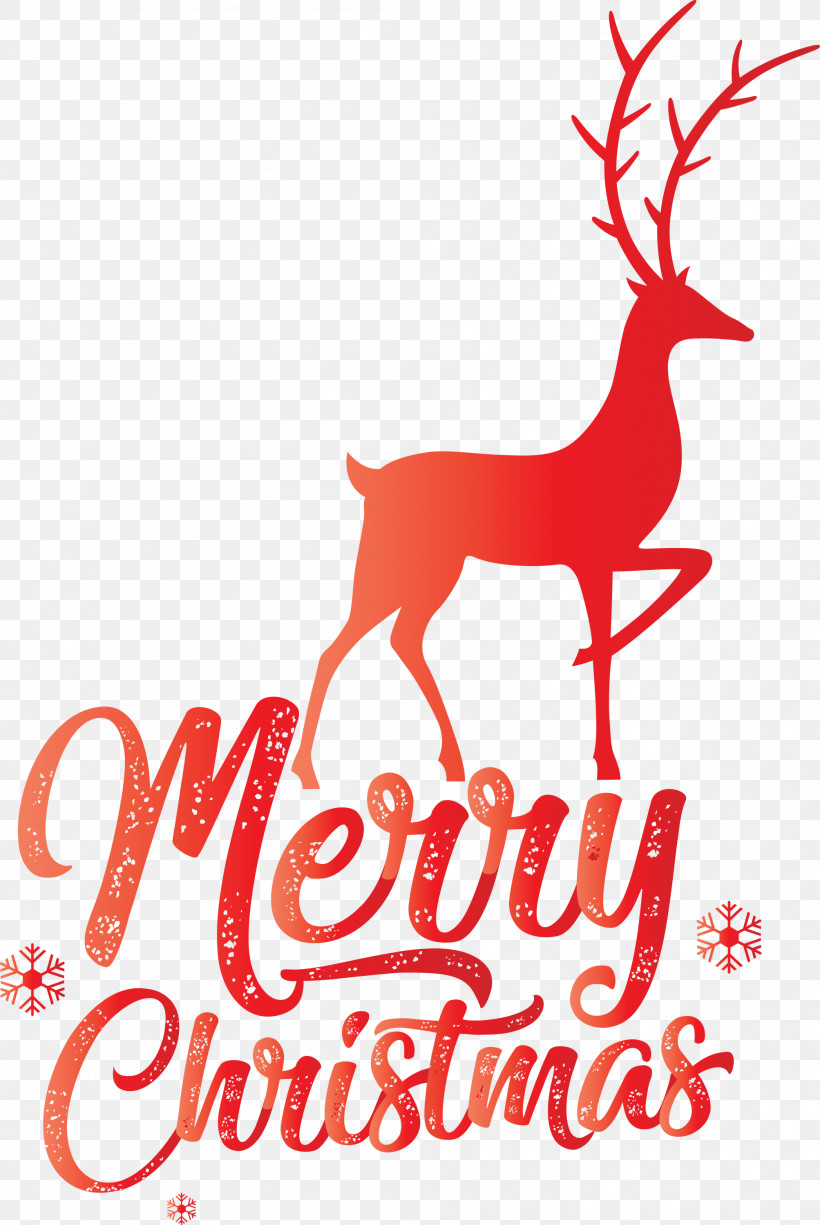 Merry Christmas, PNG, 2007x3000px, Merry Christmas, Biology, Christmas Day, Christmas Decoration, Decoration Download Free