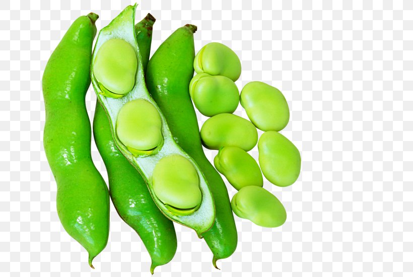 Pea Edamame Lima Bean Vegetarian Cuisine Common Bean, PNG, 700x550px, Pea, Bean, Broad Bean, Commodity, Common Bean Download Free