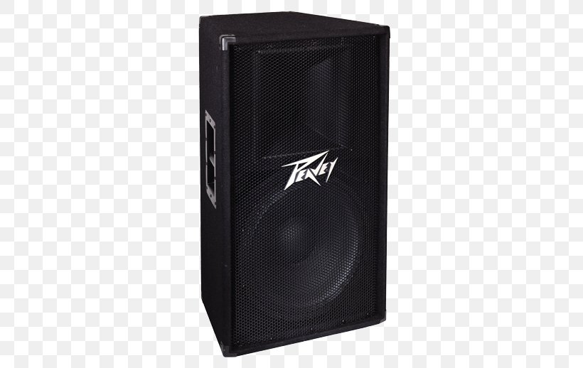 Peavey Pv 115 Loudspeaker Enclosure Peavey Pv 215 Peavey Pv115 2