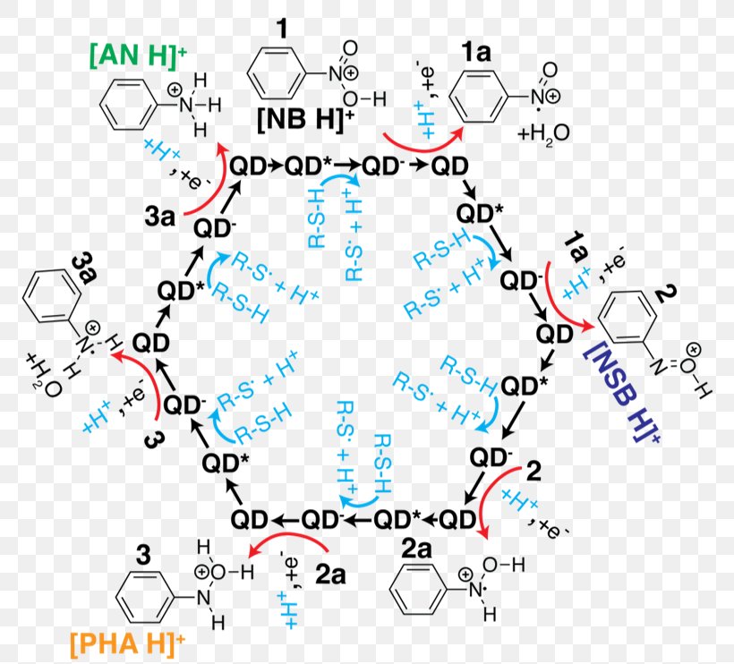 Quantum Dot Photocatalysis Nitrobenzene Aniline, PNG, 790x742px, Quantum Dot, Aniline, Area, Catalysis, Chemical Reaction Download Free