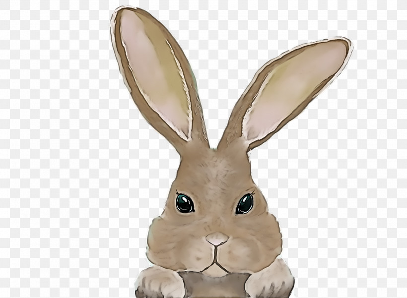Easter Bunny, PNG, 1920x1408px, Rabbit, American Shorthair, Cartoon, Drawing, Easter Bunny Download Free