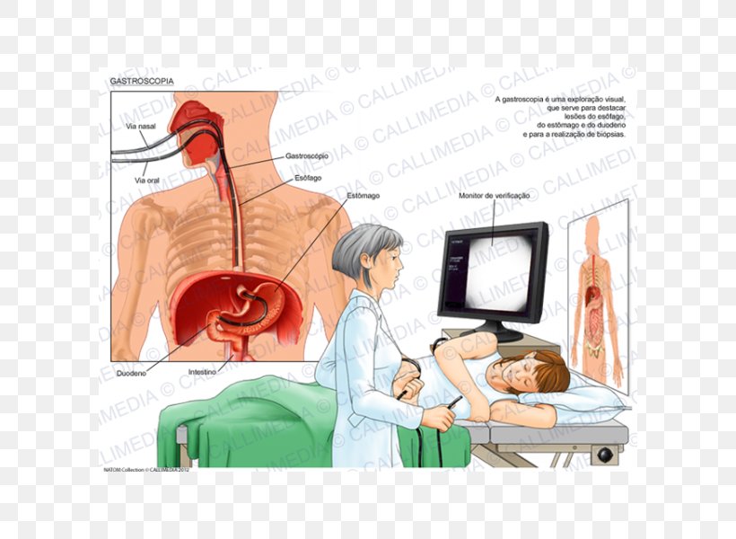 Furniture Esophagogastroduodenoscopy, PNG, 600x600px, Watercolor, Cartoon, Flower, Frame, Heart Download Free