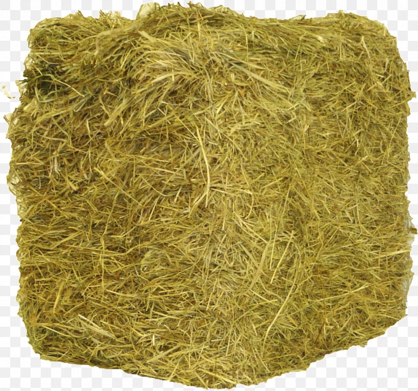 Hay Straw Baler Agriculture Cattle, PNG, 1283x1200px, Hay, Agriculture, Baler, Barn, Cattle Download Free