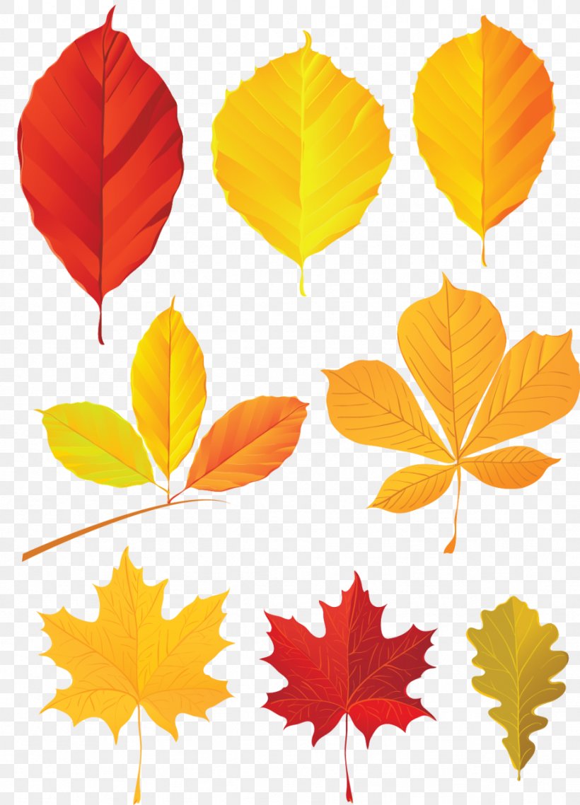 Autumn Leaf Color Clip Art, PNG, 922x1280px, Autumn Leaf Color, Art, Autumn, Color, Leaf Download Free